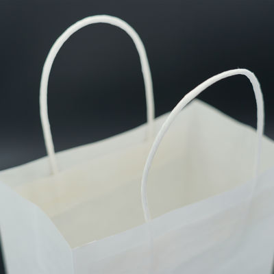 Cardboard Gift Kraft Shopping Bags With Handles Medium Size