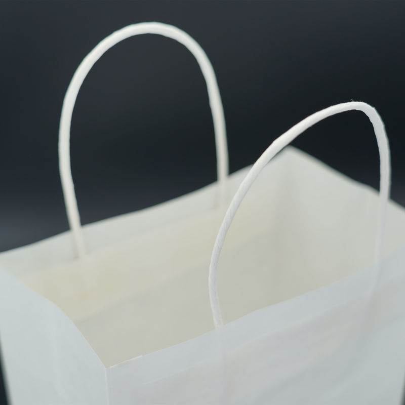 Cardboard Gift Kraft Shopping Bags With Handles Medium Size